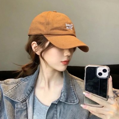 朕的朝堂都是奸臣